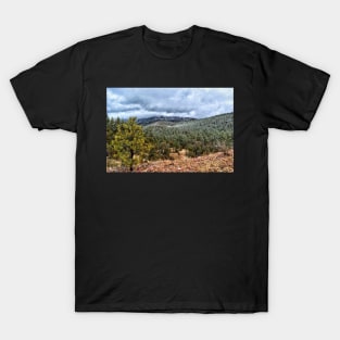 Snow In The Mountains T-Shirt